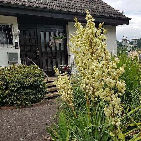 Ferienwohnung Wahlich Idar-Oberstein Bagian luar foto